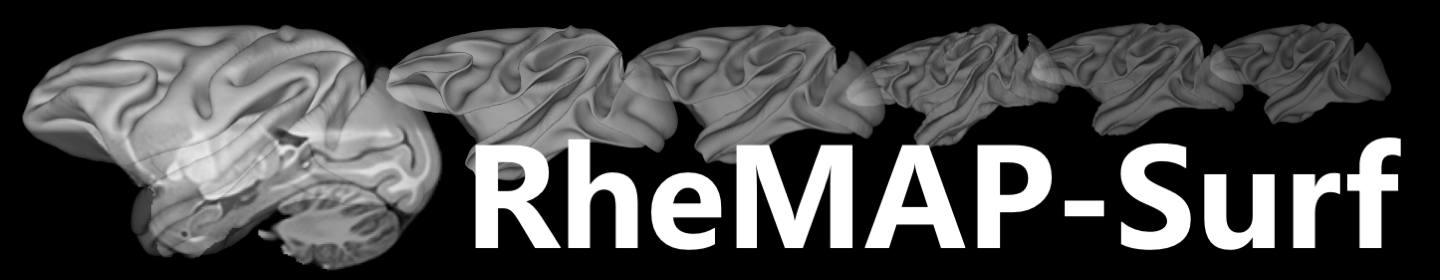 RheMAP-surf logo